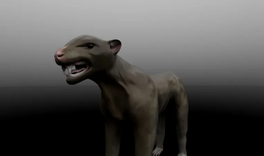 Screenshot 2026-03-08 124732